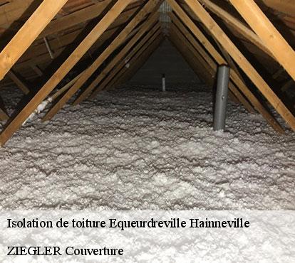 Isolation de toiture  equeurdreville-hainneville-50120 ZIEGLER Couverture