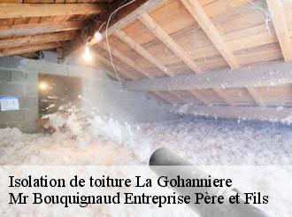 Isolation de toiture la-gohanniere-50300 Mr Bouquignaud Entreprise Père et Fils