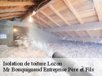 Isolation de toiture lozon-50570 Mr Bouquignaud Entreprise Père et Fils