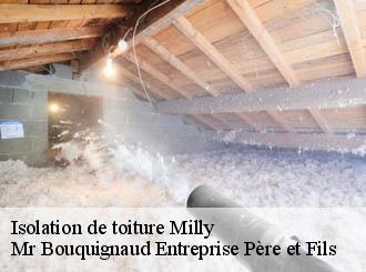Isolation de toiture milly-50600 Mr Bouquignaud Entreprise Père et Fils