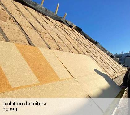 Isolation de toiture 50390