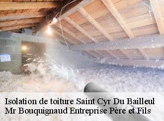 Isolation de toiture saint-cyr-du-bailleul-50720 Mr Bouquignaud Entreprise Père et Fils