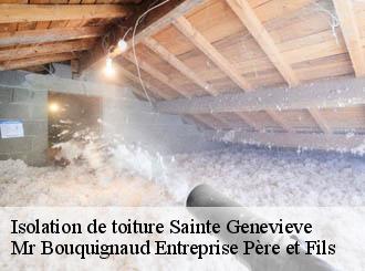 Isolation de toiture sainte-genevieve-50760 Mr Bouquignaud Entreprise Père et Fils