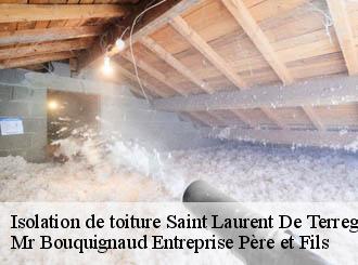 Isolation de toiture saint-laurent-de-terregatte-50111 Mr Bouquignaud Entreprise Père et Fils