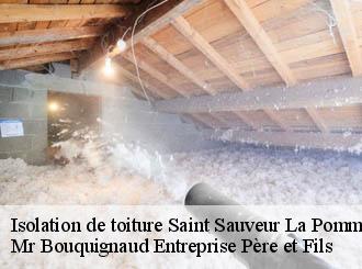 Isolation de toiture saint-sauveur-la-pommeraye-50510 Mr Bouquignaud Entreprise Père et Fils