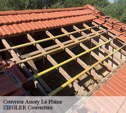 Couvreur  aucey-la-plaine-50170 ZIEGLER Couverture 