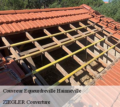 Couvreur equeurdreville-hainneville-50120 ZIEGLER Couverture