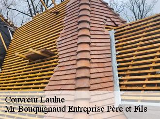 Couvreur laulne-50430 Mr Bouquignaud Entreprise Père et Fils