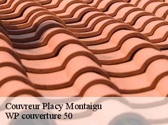 Couvreur  placy-montaigu-50160 Artisan Debard DM Habitat