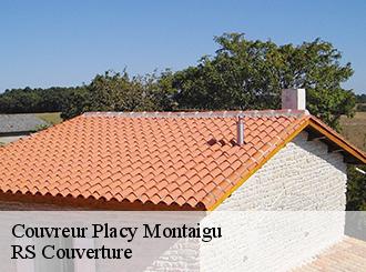 Couvreur placy-montaigu-50160 Artisan Debard DM Habitat