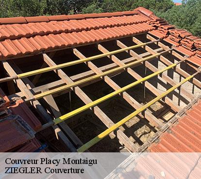 Couvreur placy-montaigu-50160 ZIEGLER Couverture