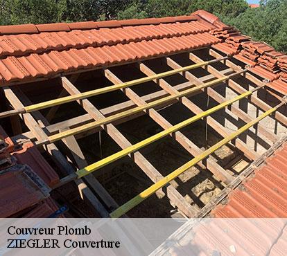 Couvreur  plomb-50870 ZIEGLER Couverture 