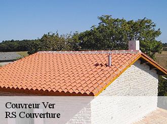 Couvreur ver-50450 Artisan Debard DM Habitat