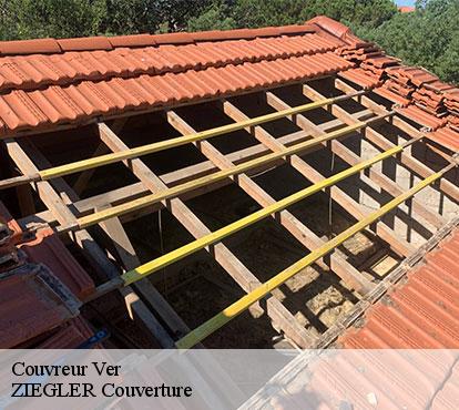Couvreur ver-50450 ZIEGLER Couverture