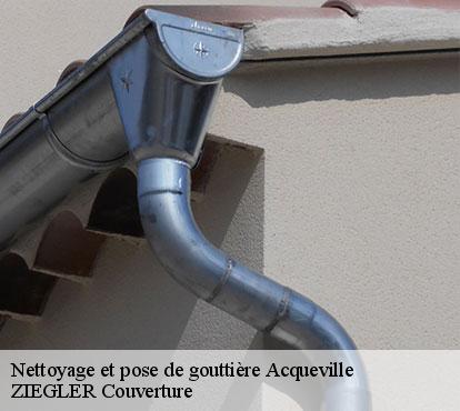 Nettoyage et pose de gouttière  acqueville-50440 ZIEGLER Couverture 