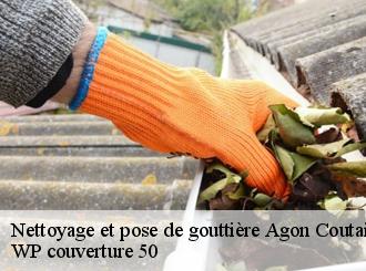 Nettoyage et pose de gouttière  agon-coutainville-50230 WP couverture 50