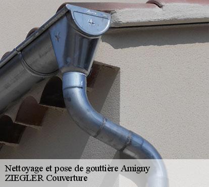 Nettoyage et pose de gouttière  amigny-50620 ZIEGLER Couverture