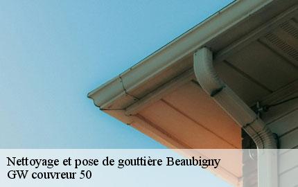 Nettoyage et pose de gouttière beaubigny-50270 GW couvreur 50