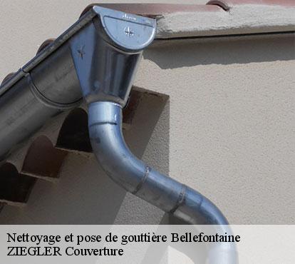 Nettoyage et pose de gouttière  bellefontaine-50520 ZIEGLER Couverture