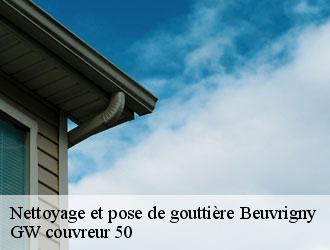 Nettoyage et pose de gouttière beuvrigny-50420 GW couvreur 50