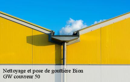 Nettoyage et pose de gouttière bion-50140 GW couvreur 50