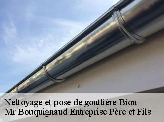 Nettoyage et pose de gouttière bion-50140 Mr Bouquignaud Entreprise Père et Fils