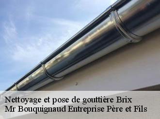 Nettoyage et pose de gouttière brix-50700 Mr Bouquignaud Entreprise Père et Fils