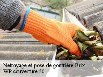 Nettoyage et pose de gouttière  brix-50700 WP couverture 50