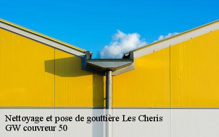 Nettoyage et pose de gouttière les-cheris-50220 GW couvreur 50