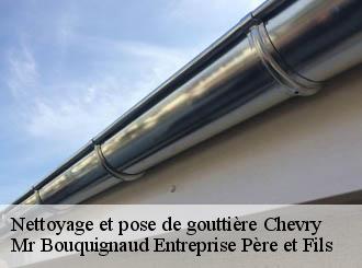 Nettoyage et pose de gouttière chevry-50420 Mr Bouquignaud Entreprise Père et Fils