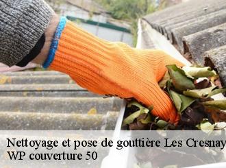 Nettoyage et pose de gouttière  les-cresnays-50370 WP couverture 50