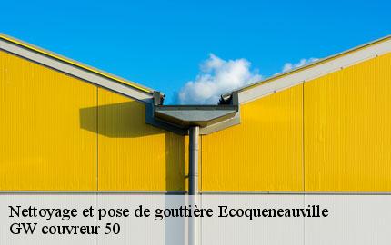 Nettoyage et pose de gouttière ecoqueneauville-50480 GW couvreur 50