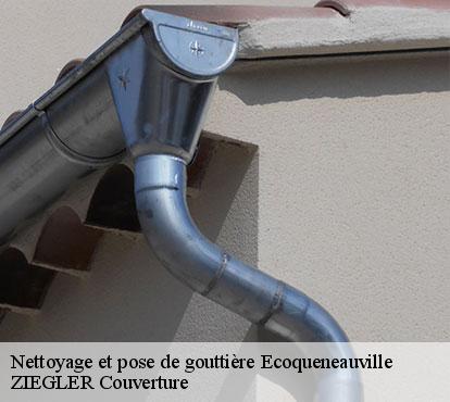 Nettoyage et pose de gouttière ecoqueneauville-50480 ZIEGLER Couverture