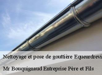 Nettoyage et pose de gouttière  equeurdreville-hainneville-50120 Mr Bouquignaud Entreprise Père et Fils