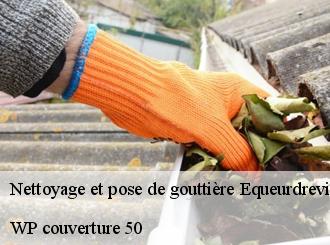 Nettoyage et pose de gouttière  equeurdreville-hainneville-50120 WP couverture 50