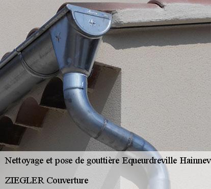 Nettoyage et pose de gouttière  equeurdreville-hainneville-50120 ZIEGLER Couverture