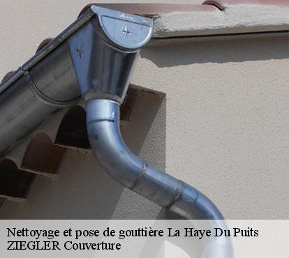 Nettoyage et pose de gouttière  la-haye-du-puits-50250 ZIEGLER Couverture 