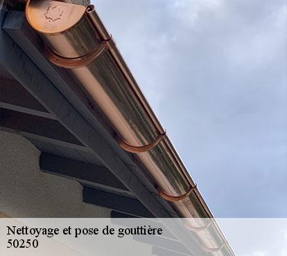 Nettoyage et pose de gouttière  50250