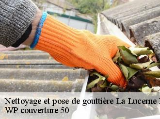 Nettoyage et pose de gouttière  la-lucerne-d-outremer-50320 WP couverture 50