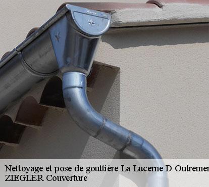 Nettoyage et pose de gouttière  la-lucerne-d-outremer-50320 ZIEGLER Couverture