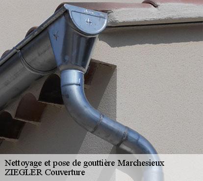 Nettoyage et pose de gouttière  marchesieux-50190 ZIEGLER Couverture