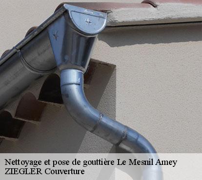 Nettoyage et pose de gouttière  le-mesnil-amey-50570 ZIEGLER Couverture