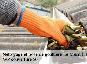 Nettoyage et pose de gouttière  le-mesnil-herman-50750 WP couverture 50