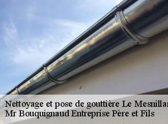 Nettoyage et pose de gouttière le-mesnillard-50600 Mr Bouquignaud Entreprise Père et Fils