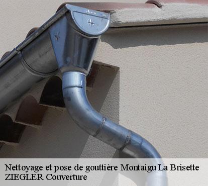 Nettoyage et pose de gouttière  montaigu-la-brisette-50700 ZIEGLER Couverture 