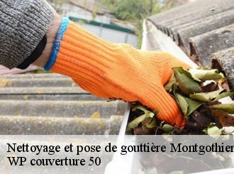 Nettoyage et pose de gouttière  montgothier-50540 WP couverture 50