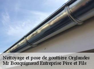 Nettoyage et pose de gouttière  orglandes-50390 Mr Bouquignaud Entreprise Père et Fils