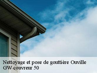 Nettoyage et pose de gouttière ouville-50210 GW couvreur 50