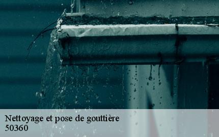 Nettoyage et pose de gouttière  picauville-50360 GW couvreur 50