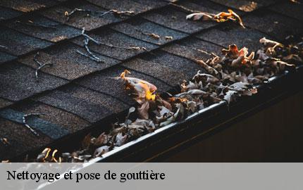 Nettoyage et pose de gouttière  picauville-50360 GW couvreur 50
